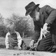 A black and white picture showing a very young boy and a very old man playing marbles together. The caption reads: 87 year old Sam Spooner receives a sound thrashing from young Tony Westbrook, who will walk off with all the oldster's marbles.